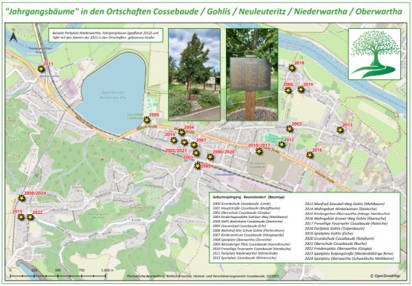 Jahrgangsb&auml;me Cossebaude und Umgebung